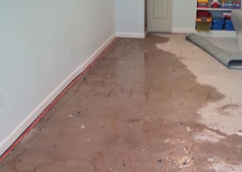 Carpet Water Cleanup Central Coast